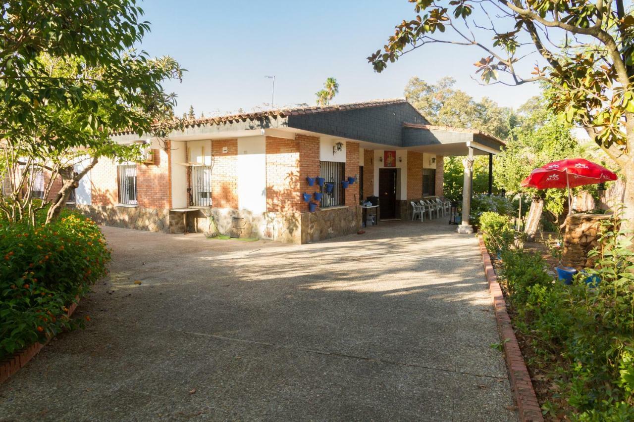 Vila Fantastico Chalet Con Piscina En Avenida Del Brillante Córdoba Exteriér fotografie